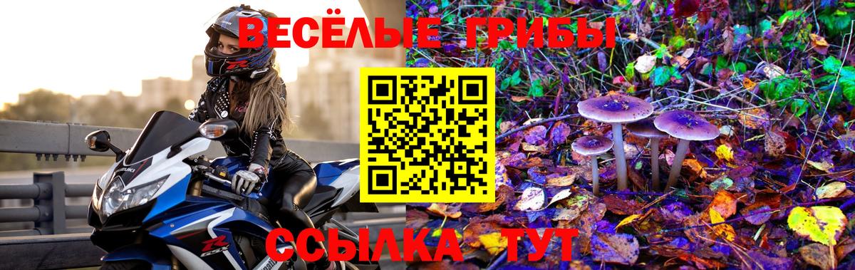 Галлюциногенные грибы мухоморы Кудрово